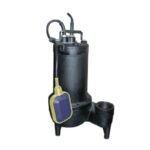 H/A CRANE 50WQ-0.75-2P