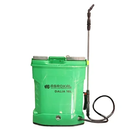 ELETTRA DALIA 16 ELDL16